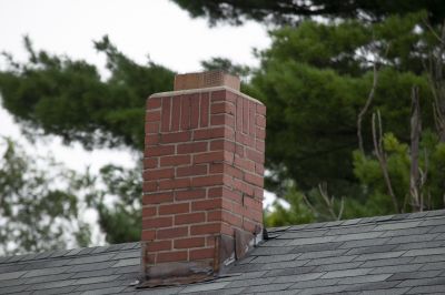 Prevent Blockages in Your Chimney!